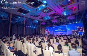 央媒时代TOP:城链科技赋能产业创新发展大会